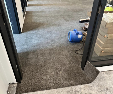 Commercial Carpet